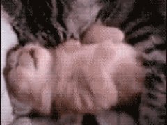 Обнимашки во сне