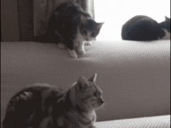 Прочь с моего места!