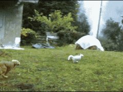 Спряталась от погони