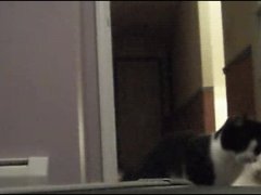 Неожиданное касание