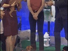 Уронила щенка