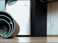Котенок неплохо соображает