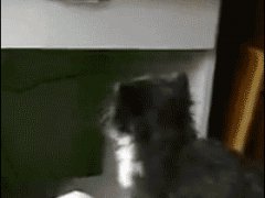 Милое падение