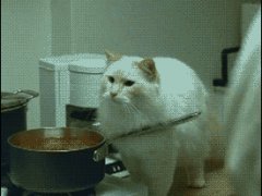 Это не то, что ты подумала