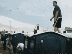 Невысокий полёт