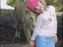 Неожиданная встреча