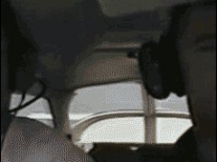 Непристегнутая собака