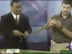 Испуганный ведущий
