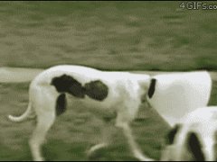 Монополистка