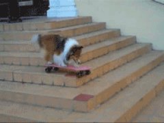 Не каждый человек на такое способен