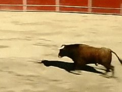 Прыжок через быка
