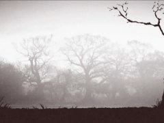 НЛО