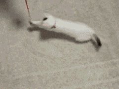 Столкнулись лбами