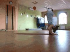 Йога с кошкой