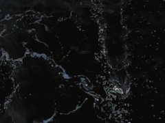 Атака акулы с высоты