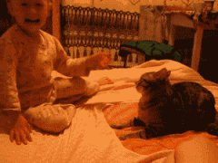 Ответный удар