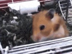 Позитивный кошмар