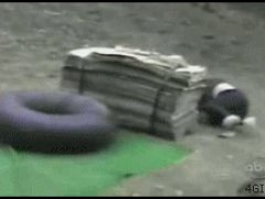Приземлилась на голову
