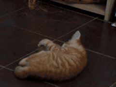 Прыгает как угорелая
