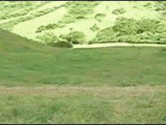 Рыцари современности