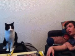 Только отстань от меня