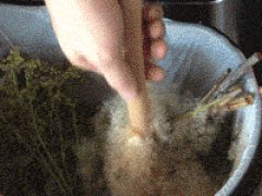 Свойства бамбука