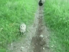 Дружеские шутки