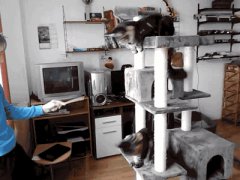 Упражнение на шею