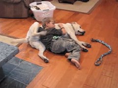 Взаимное поглаживание
