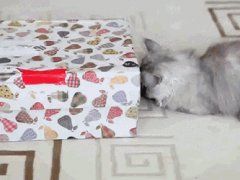Тесный домик