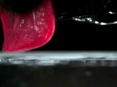 Как пьют собаки