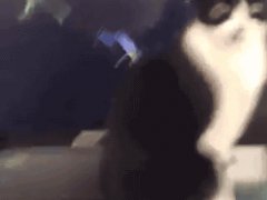 Кошка под виртуальной атакой