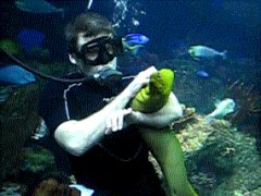 Подводный питомец
