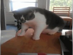 Подскочил от неожиданности