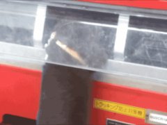 Выдра - воришка