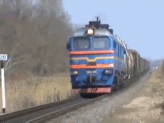 Собака - экстремака