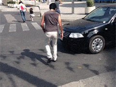 Тролинг водителя
