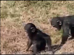 Прикололся над братцем