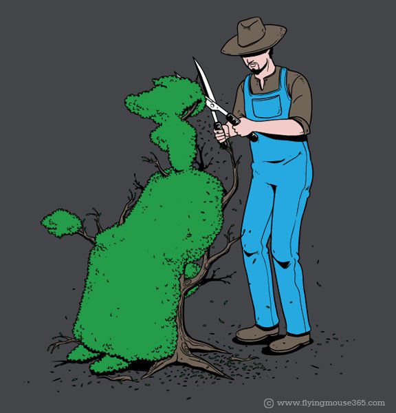 Прическа