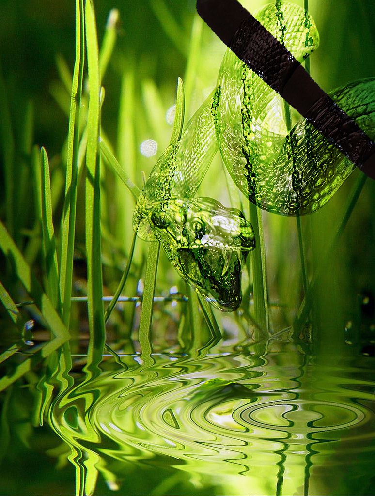 Водная змея