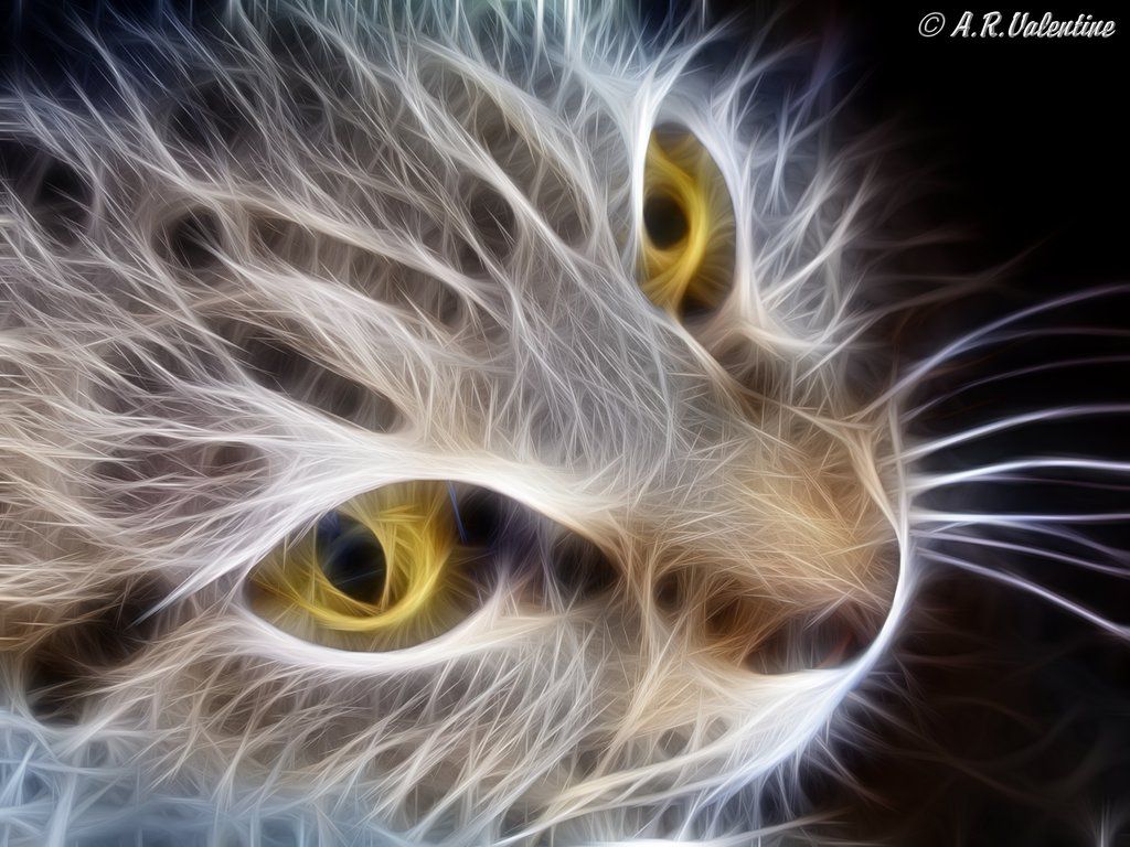 Фрактальная кошка