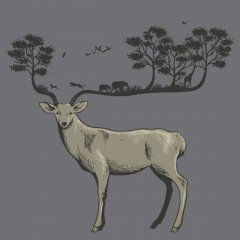 Дикая жизнь