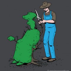 Прическа