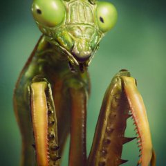 Макро 3d