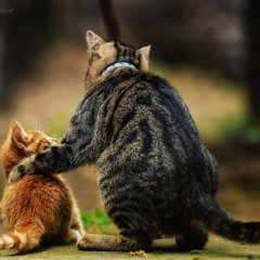 Совет от старших