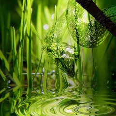 Водная змея
