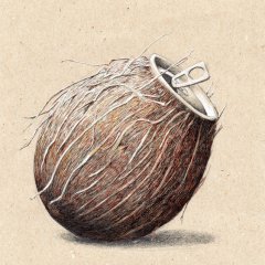 Кокобанка
