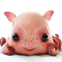 Розовый осьминог