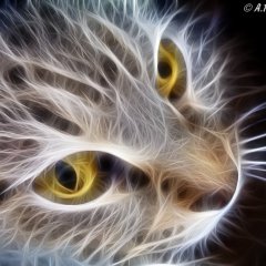 Фрактальная кошка
