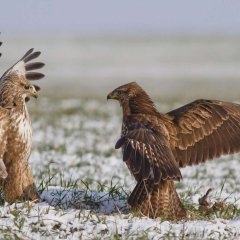 Беседы о рыбалке